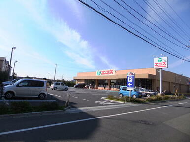 エコス市川島尻店