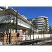 幼稚園、保育園