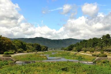 賀茂川河畔