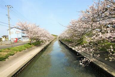 木屋川堤