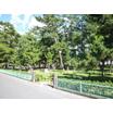 公園