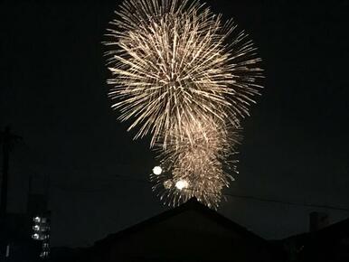 屋上ガーデンからお祭りの花火が見れます（令和５年度　わんさか祭り当日の物件現地）