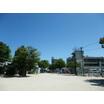 公園
