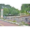 公園