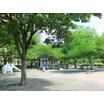 公園