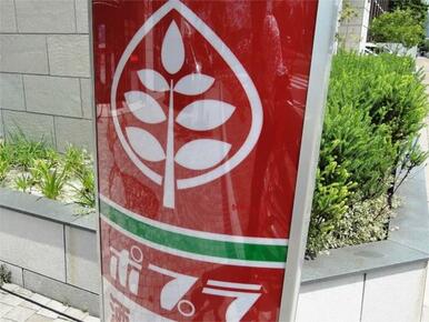 ﾎﾟﾌﾟﾗ pal若松ﾎﾞｰﾄ店