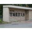 大学