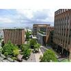 大学