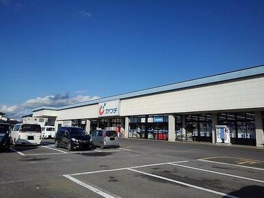 カワチ薬品大田原南店