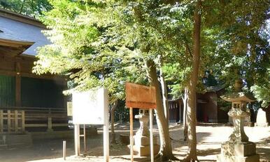 氷川女体神社