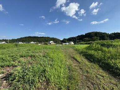 おしゃれな外観です