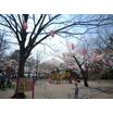 公園
