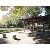 公園