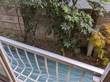 １階のお部屋！