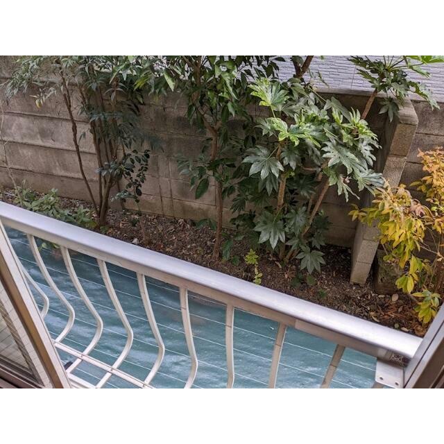 １階のお部屋！