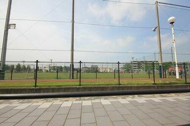 １０ｍ（徒歩１分）堀崎公園です。