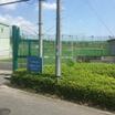 大学