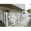 幼稚園、保育園