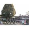 幼稚園、保育園