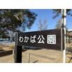 公園