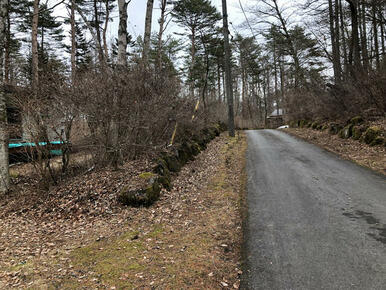 現地と前面道路