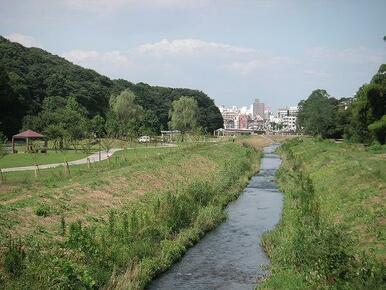 逆川緑地