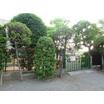 幼稚園、保育園