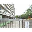 幼稚園、保育園