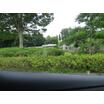 大学