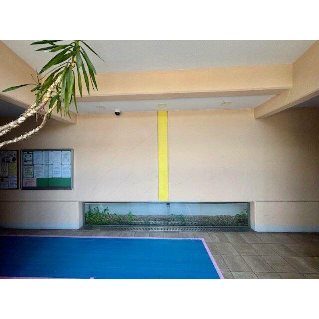 開放感のある窓から入る自然の光をご体感いただけます。2025年6月撮影