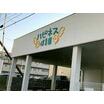 幼稚園、保育園