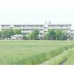 中学校