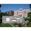 大学