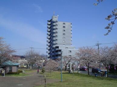 桜の季節に西側に隣接している、足利公園からの撮りました。お花見をお楽しみください。