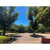 公園