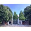 大学