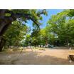 公園