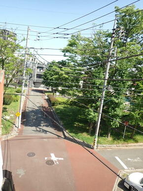 バルコニーからの眺め　東綾瀬公園が目の前です。