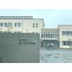 中学校