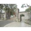 大学
