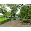 公園