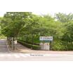 大学