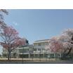 中学校