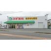 販売店