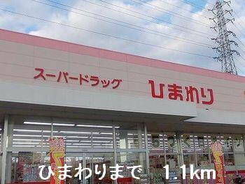 ひまわり