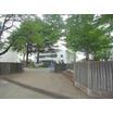中学校
