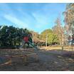 公園