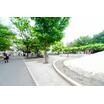 公園