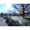 公園