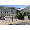 大学